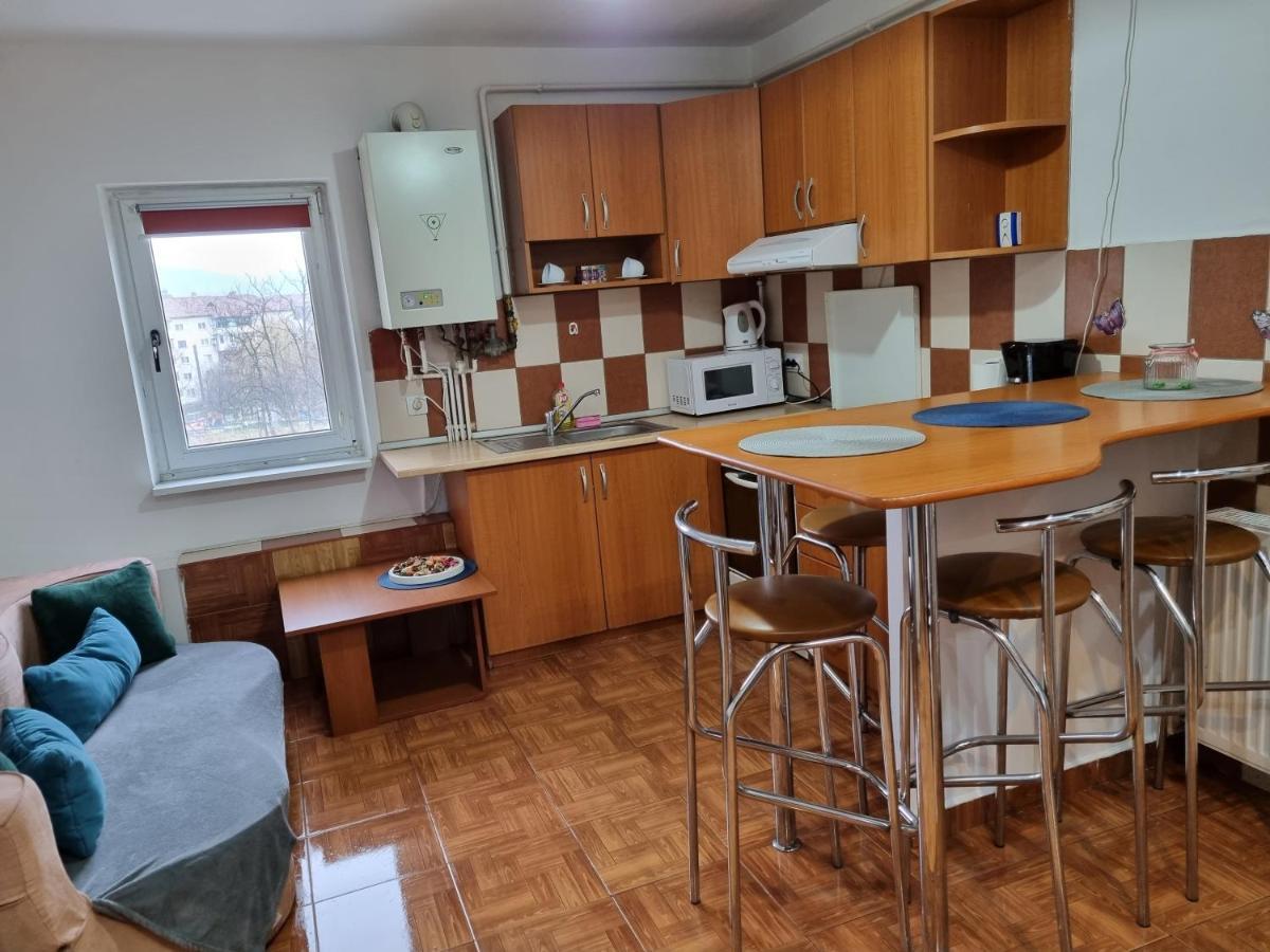 Appartement Marya'S à Râmnicu Vâlcea Extérieur photo