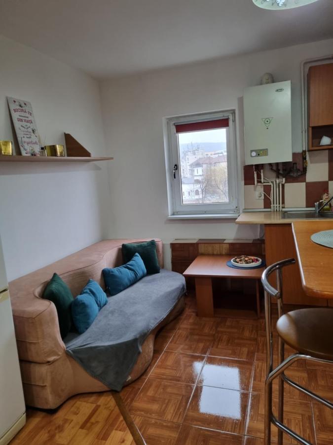 Appartement Marya'S à Râmnicu Vâlcea Extérieur photo